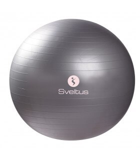Gymball grey Ø65 cm bulk