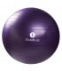 Gymball 75cm parme