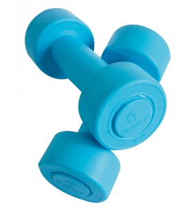 Haltère ciment 500 g x2