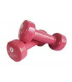 Haltère époxy 2 kg x2