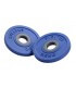 Discs Fit'us 500 g (by pair)