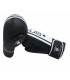 Challenger boxing glove size 10oz x2