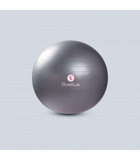 Gymball grau Ø65 cm lose