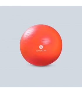 Gymball oranje Ø55 cm bulk