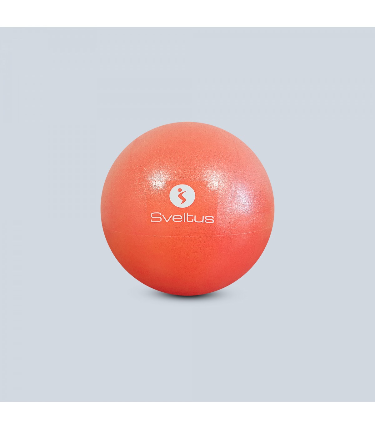 Bravor Ballon mural ballon médical PVC double coutures 4 kg