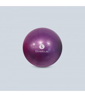 Balon pedagogico morado O22/24 cm a granel