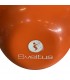 Kettlebell SECOND CHOIX