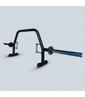 Ergonomic trap barre