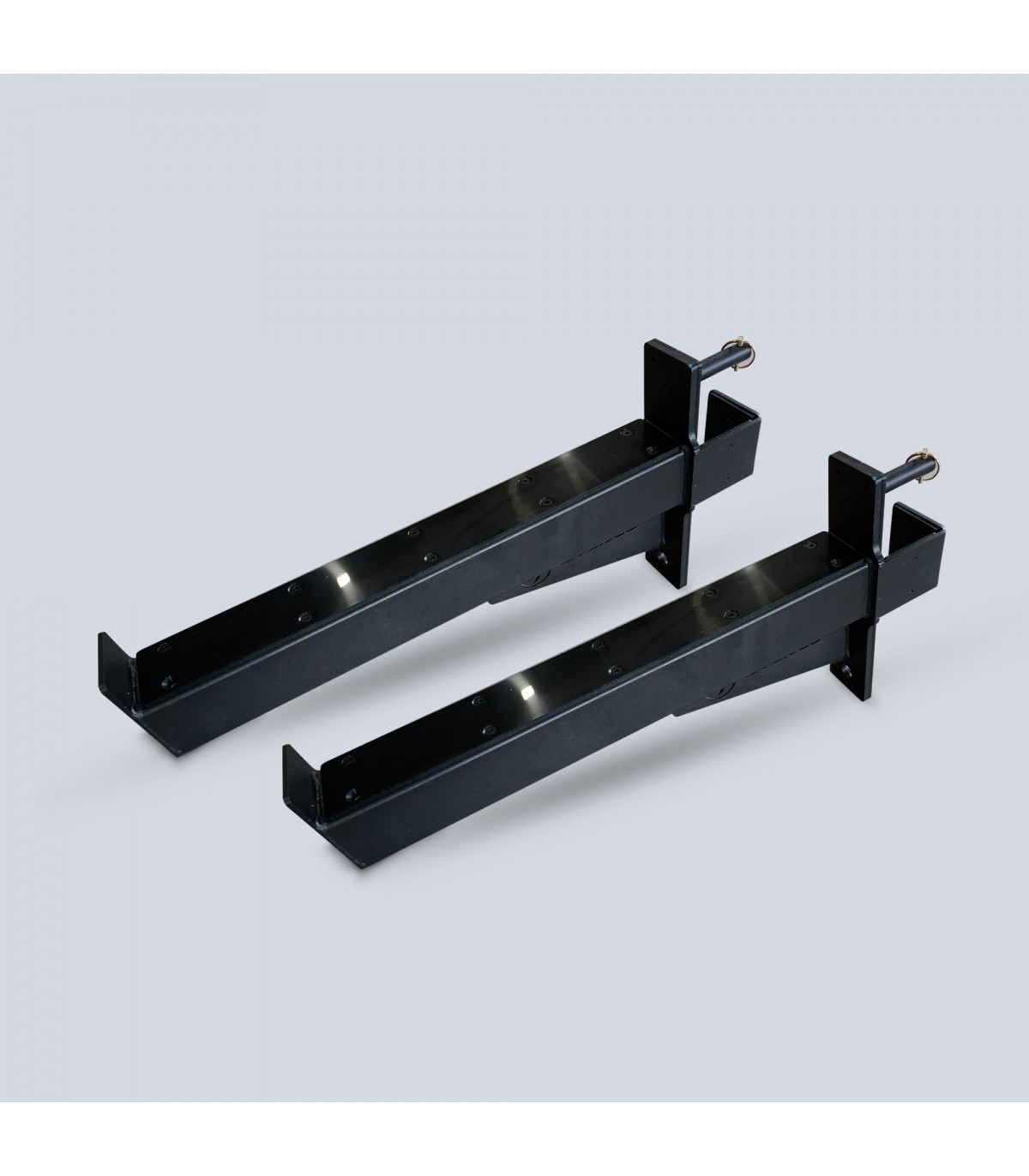 sveltus Safety Spotter Rig x2