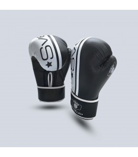 Guanti da boxe Challenger x2
